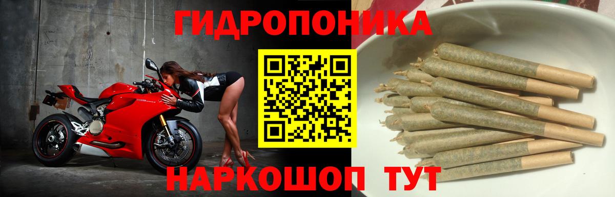 Конопля SATIVA & INDICA Родники